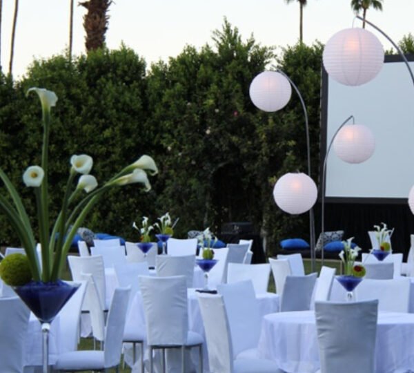 A Glimpse of Our Grand Events